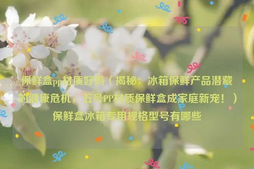 保鲜盒pp材质好吗（揭秘：冰箱保鲜产品潜藏的健康危机，五号PP材质保鲜盒成家庭新宠！）保鲜盒冰箱专用规格型号有哪些