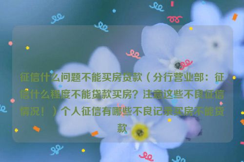 征信什么问题不能买房贷款（分行营业部：征信什么程度不能贷款买房？注意这些不良征信情况！）个人征信有哪些不良记录买房不能贷款