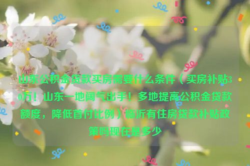 山东公积金贷款买房需要什么条件（买房补贴30万！山东一地阔气出手！多地提高公积金贷款额度，降低首付比例）临沂有住房贷款补贴政策吗现在是多少