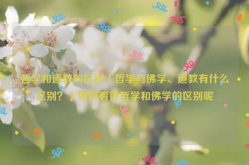 哲学和道教的区别（哲学与佛学、道教有什么区别？）如何看待哲学和佛学的区别呢