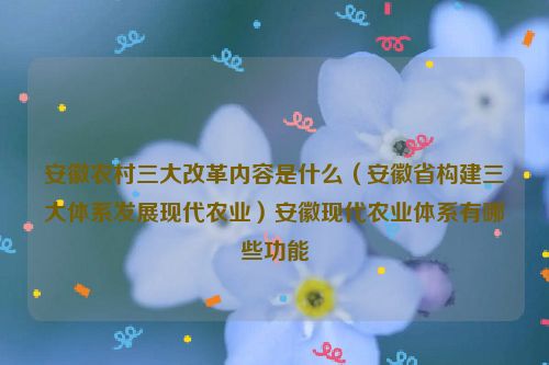 安徽农村三大改革内容是什么（安徽省构建三大体系发展现代农业）安徽现代农业体系有哪些功能