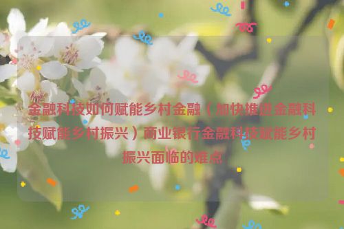 金融科技如何赋能乡村金融（加快推进金融科技赋能乡村振兴）商业银行金融科技赋能乡村振兴面临的难点