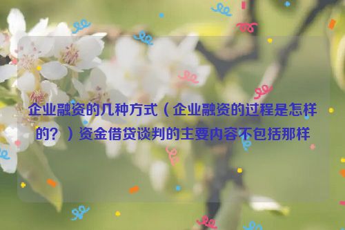 企业融资的几种方式（企业融资的过程是怎样的？）资金借贷谈判的主要内容不包括那样