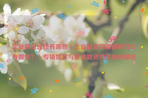 企业融资途径有哪些（企业融资的渠道和方式有哪些？）专项贷款与贸易融资的关系有哪些